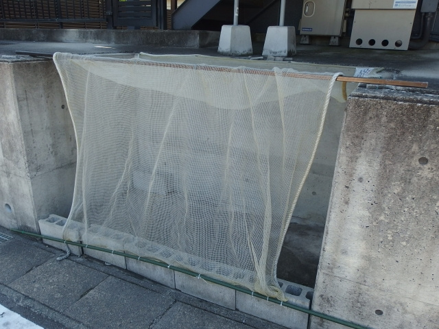 フォレスティのその他共用部分