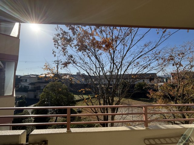 ディオ・フェルティ大津瀬田　天然木フルリノベーションの展望