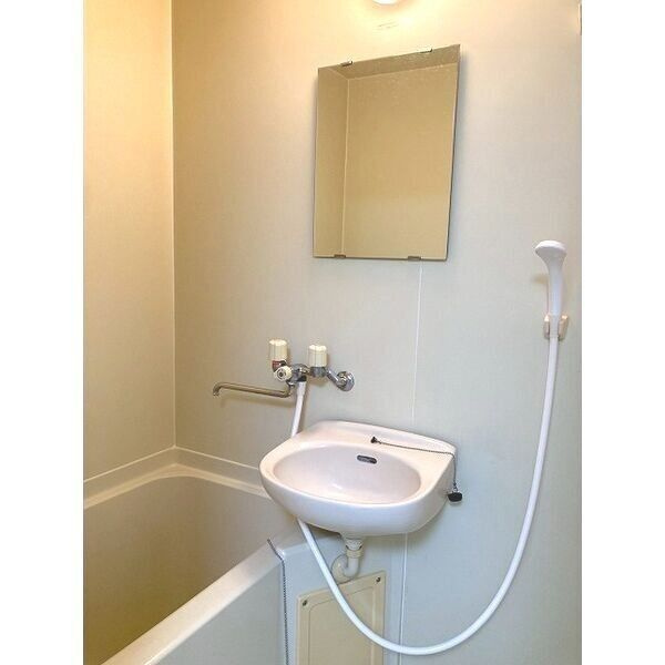 シュロス野口の洗面所