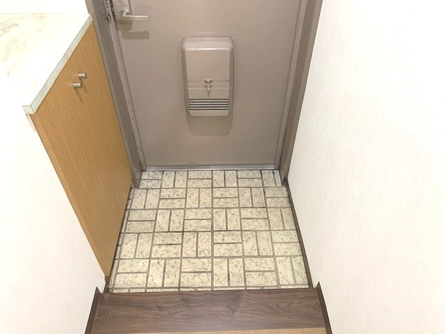 川口市幸町１丁目の賃貸マンションの玄関|※イメージ別号室写真