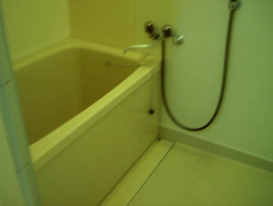 メゾンドールの浴室