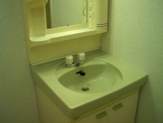 メゾンドールの独立洗面台