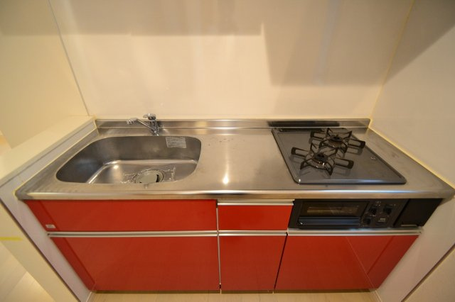 GRANDTIC BIG BIRD IIのキッチン