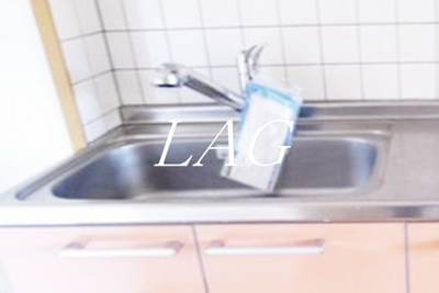 【その他】 | マリブコートみさき5 | シンクです。