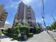 マルーン平野の画像