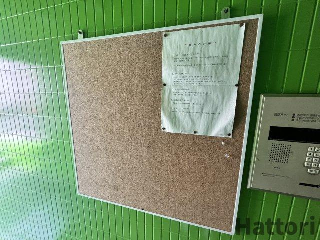 ウイングのその他