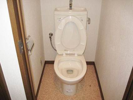 ドリームメゾンのトイレ|清潔感のあるトイレです