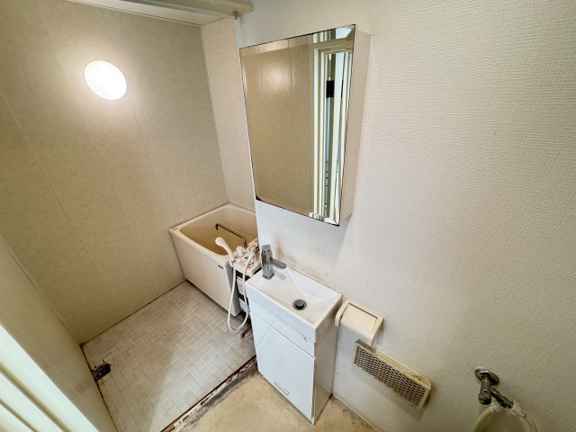 リンデンハイム白山 の洗面所