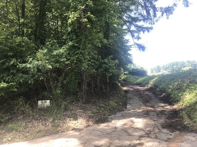 小諸市大字八満売地の前面道路含む現地写真