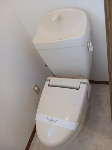 プチレジデンス　ディーヴァ　Ｆのトイレ