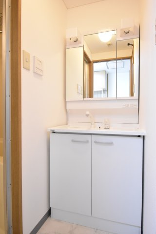 シティパル21の洗面所