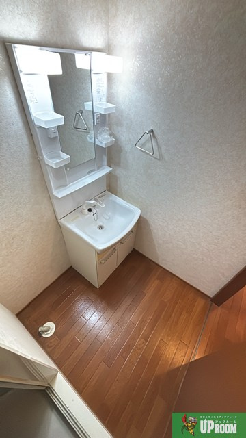 グリーンシードAの洗面所