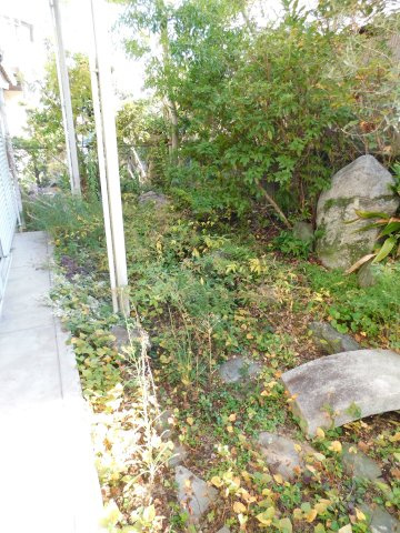 愛西市大井町宮新田の中古一戸建の庭|◇庭◇　　南面に庭付き♪