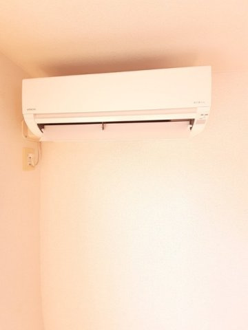 カルム・ソレイユのその他