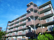 キアリア・ヒルズの画像