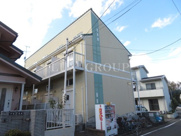 ピッコリーノの画像