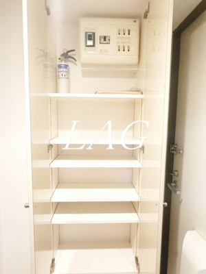 【収納】 | スカイコート日本橋第５ | 収納です。
