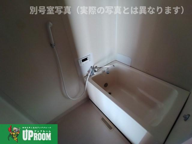 コーポ国正の浴室