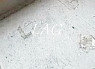 【バルコニー】 | プラーズ南池袋 | バルコニーです。