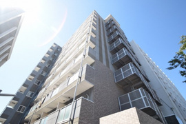 ミリアビタ№５の画像