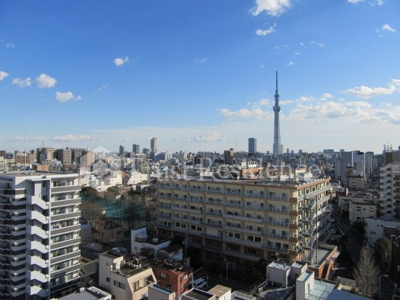 【展望】 | Refays-Exclusive