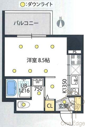 イノセント堂山の間取り