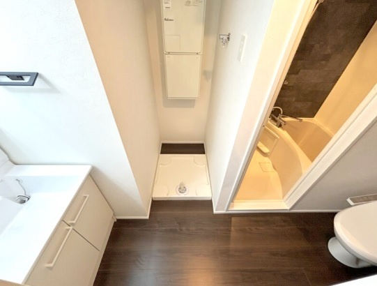 ECREDE蒲田(エクレーデ蒲田)の洗面所