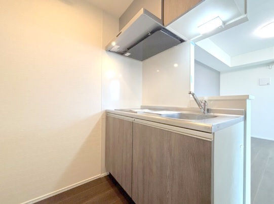 ECREDE蒲田(エクレーデ蒲田)のキッチン|2口IHシステムキッチン