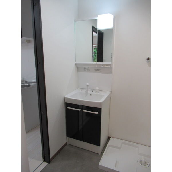 サウスヒルズⅡの洗面所