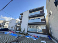 1er Camelliaの画像