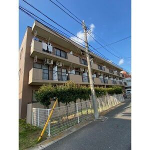 リトルフィールド市川