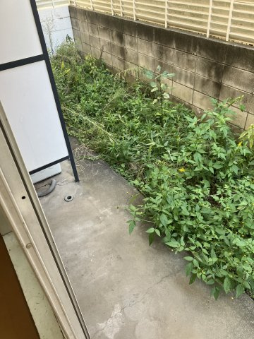 三郷第二のバルコニー|バルコニー付きです