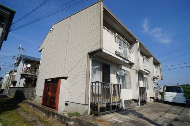 タウニィ恵