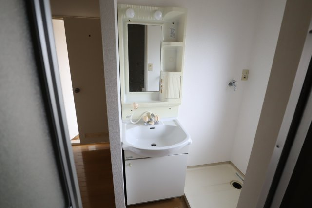 シェーンバッハ八木の洗面所