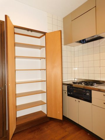 愛西市大井町宮新田の中古一戸建の収納|◇パントリー◇　　キッチン横にあって嬉しいパントリー付き♪