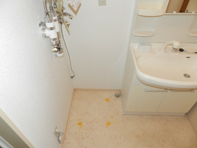 ゴールデンシップのその他