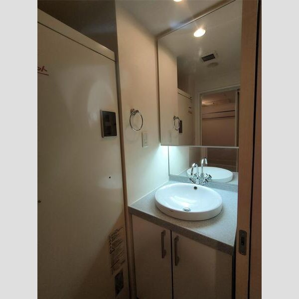 S-FORT新大阪ravirの洗面所