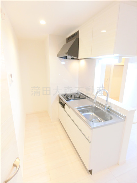 REGALEST KAMATA(レガリストカマタ）のキッチン