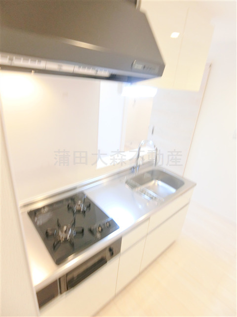 REGALEST KAMATA(レガリストカマタ）のキッチン|2口ガスグリル付システムキッチン　