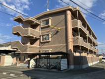 Ｃｉｒｕｅｌａ須屋の画像