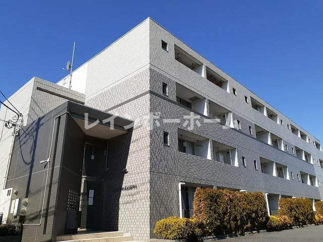 フローリド・カシワ