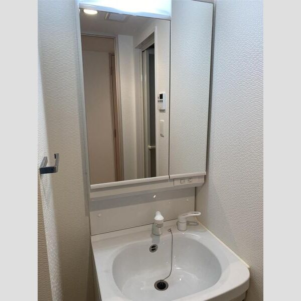 S-RESIDENCE新大阪Ridenteの洗面所