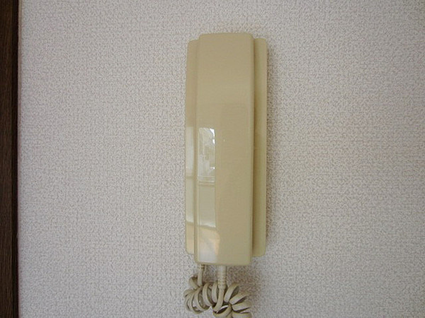 フジパレス下池田パセオのセキュリティ