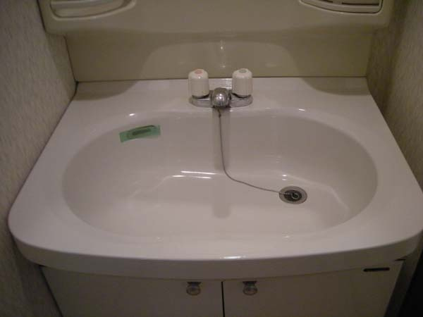 フジパレス下池田パセオの洗面所|洗面所です