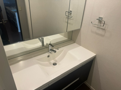 【独立洗面台】 | Brillia品川中延 | 別部屋参考写真