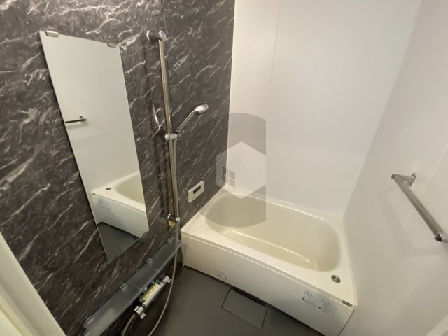 プレセアコート花園 C棟の浴室