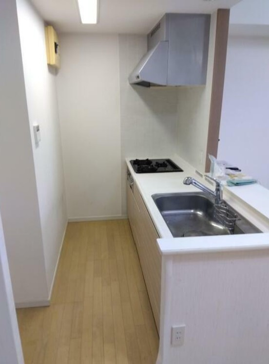 パテラツクバガクエントシのキッチン