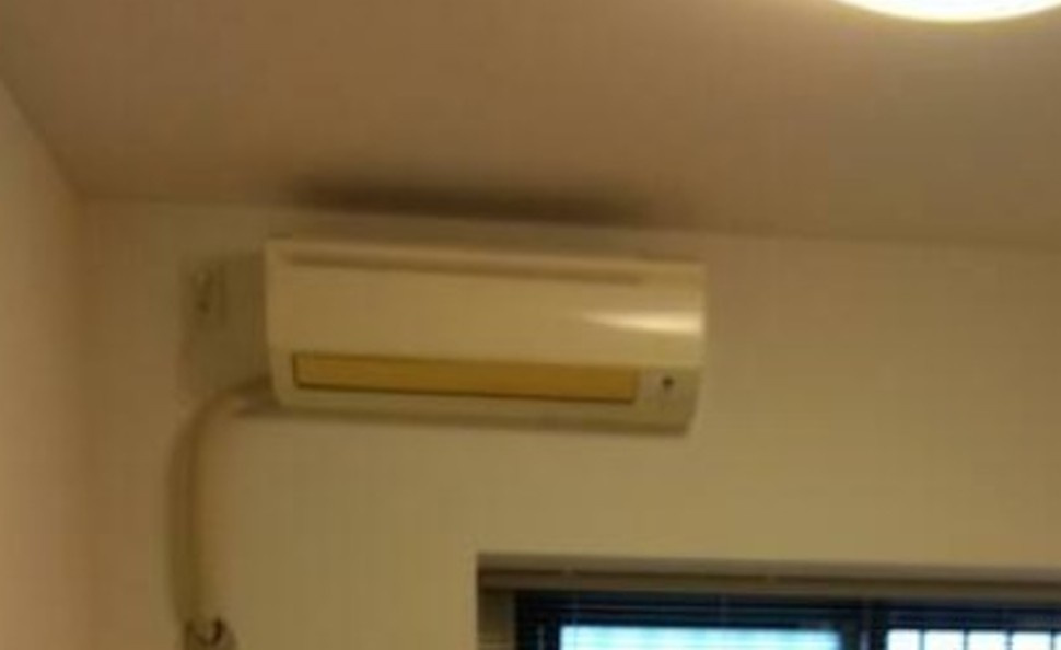 パテラツクバガクエントシの設備