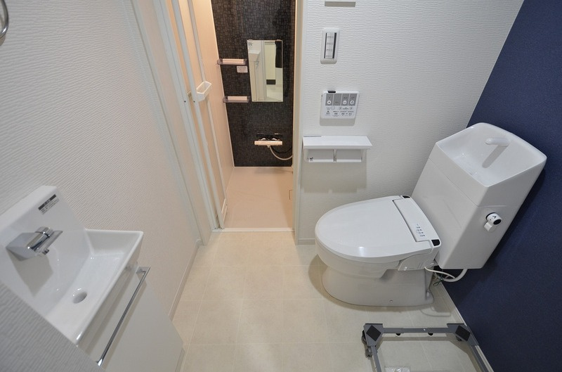 アザーレ・パッシオ向ヶ丘遊園Ⅱのトイレ