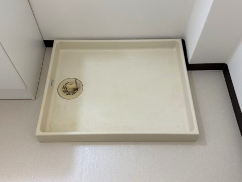 ドリームのその他